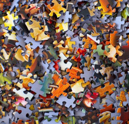 2021 puzzelstukjes hans peter gauster 3y1z F4h IP Cg unsplash
