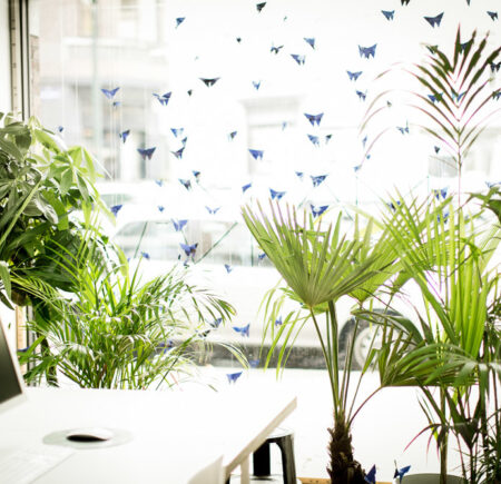 tropische planten Website 18