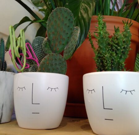 Cactussen Met Gezicht 3