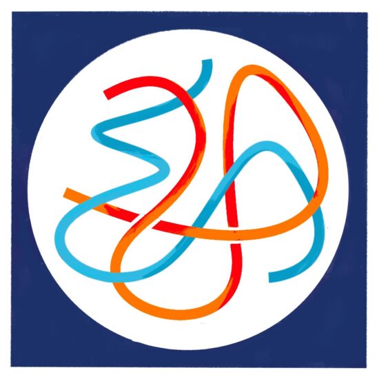 Verkiezingen 2024 thema 8